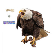 2D Scarecrow Owl Bird ScarerHead Sound Реалистичен фалшив бухал Защита Репелент Контрол Плашило Градински декор Не е 3D