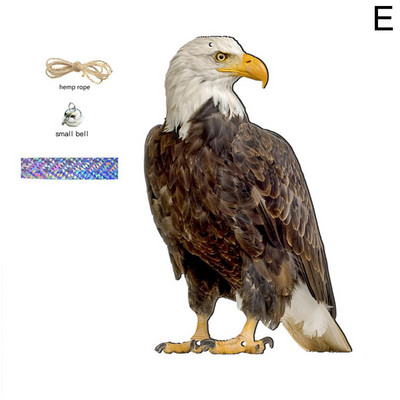 2D Scarecrow Owl Bird ScarerHead Sound Реалистичен фалшив бухал Защита Репелент Контрол Плашило Градински декор Не е 3D