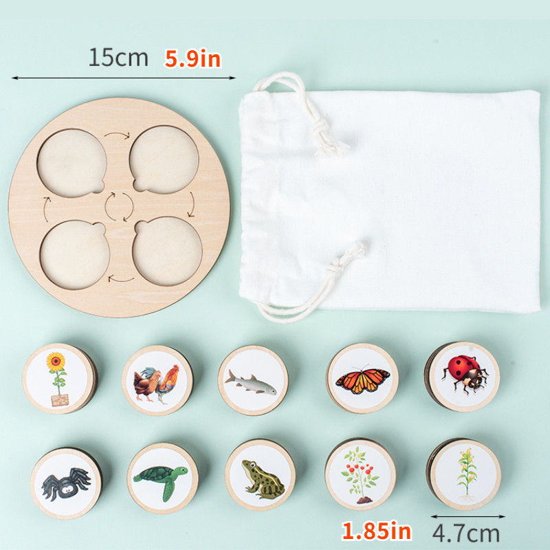Dzīves cikla dēlis Montessori komplekts Bioloģija Zinātnes izglītības rotaļlietas bērniem Sensoru paplāte Dzīvnieku figūra Dzīves cikla šķirošana koka rotaļlieta