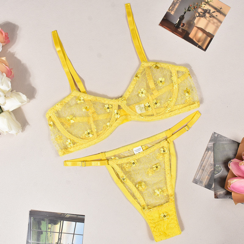 Set de sutien sexy pentru tentație transparentă, cu paiete de broderie florală, transfrontalieră europeană și americană