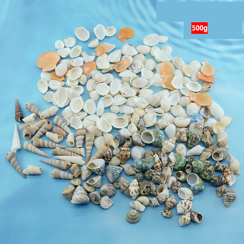 Natūralūs kriauklės, spalvingi kriauklės, rankų darbo maži kriauklės, daugiau nei 20 mišrių medžiagų akvariumo apželdinimui Vaikų gynimo dienai