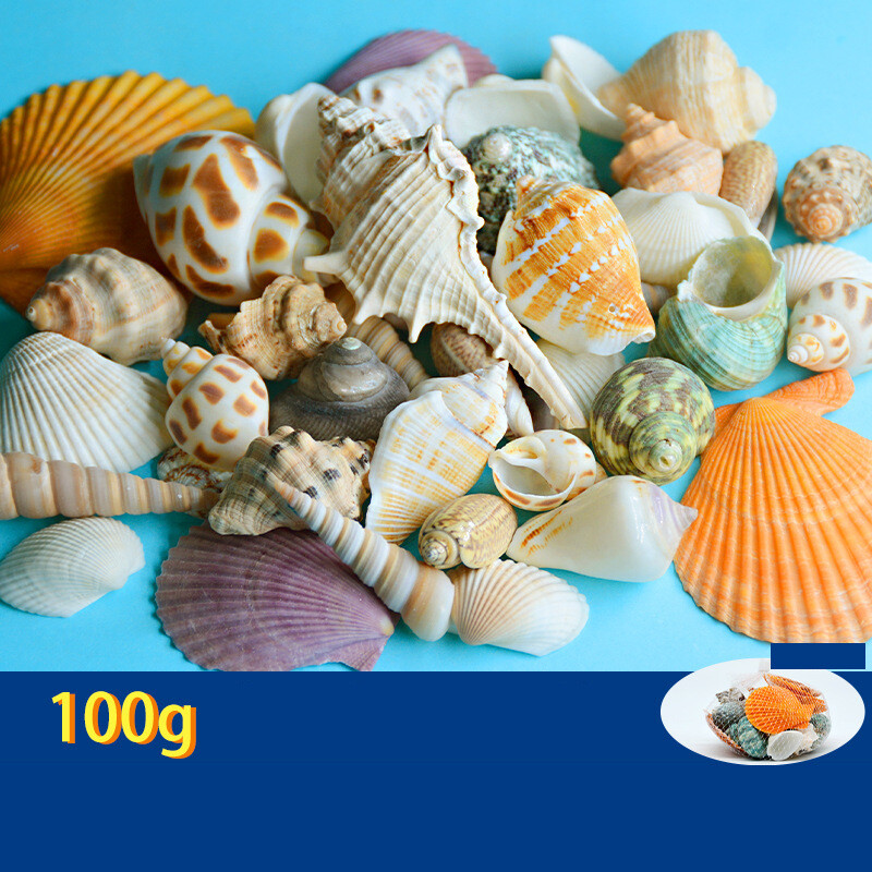 Natūralūs kriauklės, spalvingi kriauklės, rankų darbo maži kriauklės, daugiau nei 20 mišrių medžiagų akvariumo apželdinimui Vaikų gynimo dienai