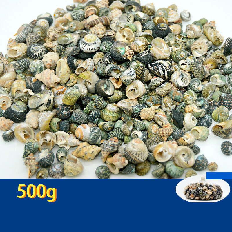 Natūralūs kriauklės, spalvingi kriauklės, rankų darbo maži kriauklės, daugiau nei 20 mišrių medžiagų akvariumo apželdinimui Vaikų gynimo dienai