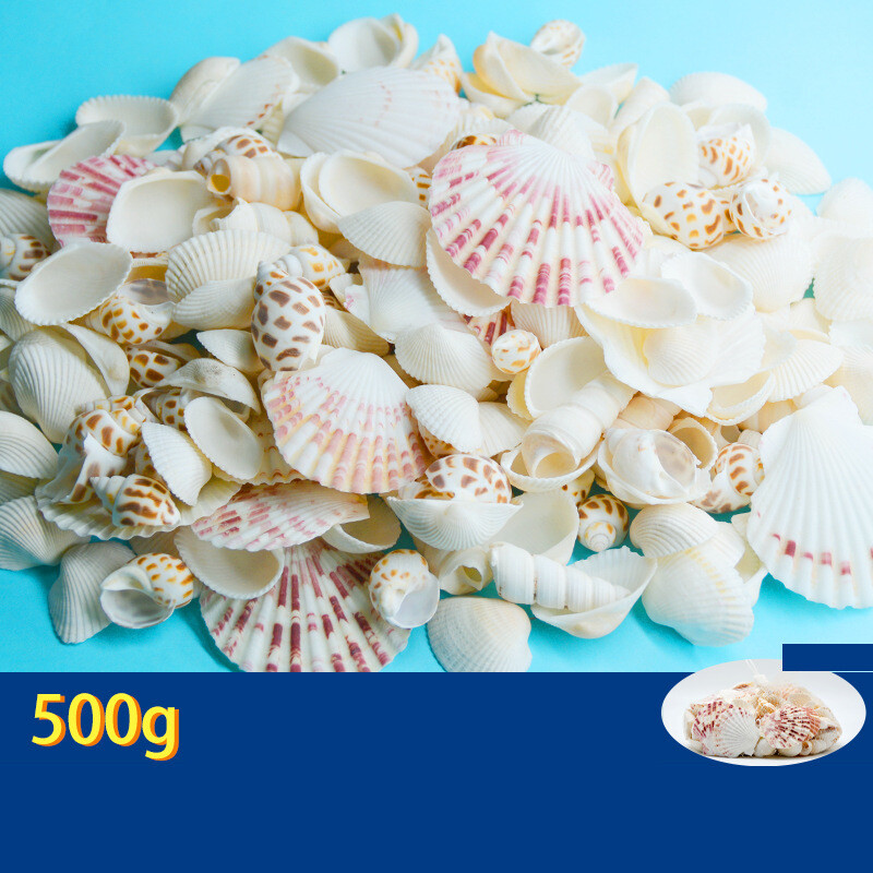 Natūralūs kriauklės, spalvingi kriauklės, rankų darbo maži kriauklės, daugiau nei 20 mišrių medžiagų akvariumo apželdinimui Vaikų gynimo dienai