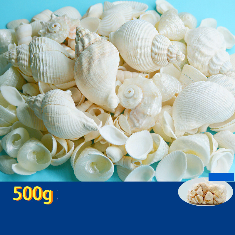 Natūralūs kriauklės, spalvingi kriauklės, rankų darbo maži kriauklės, daugiau nei 20 mišrių medžiagų akvariumo apželdinimui Vaikų gynimo dienai