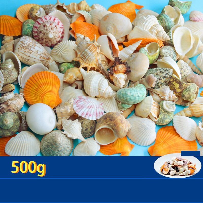 Natūralūs kriauklės, spalvingi kriauklės, rankų darbo maži kriauklės, daugiau nei 20 mišrių medžiagų akvariumo apželdinimui Vaikų gynimo dienai