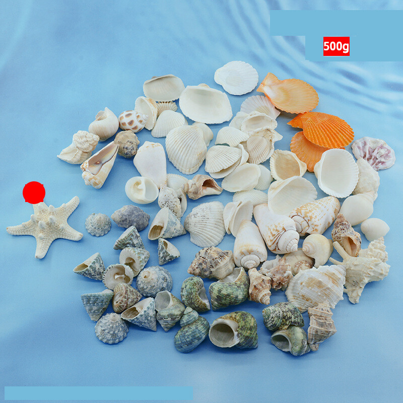 Natūralūs kriauklės, spalvingi kriauklės, rankų darbo maži kriauklės, daugiau nei 20 mišrių medžiagų akvariumo apželdinimui Vaikų gynimo dienai