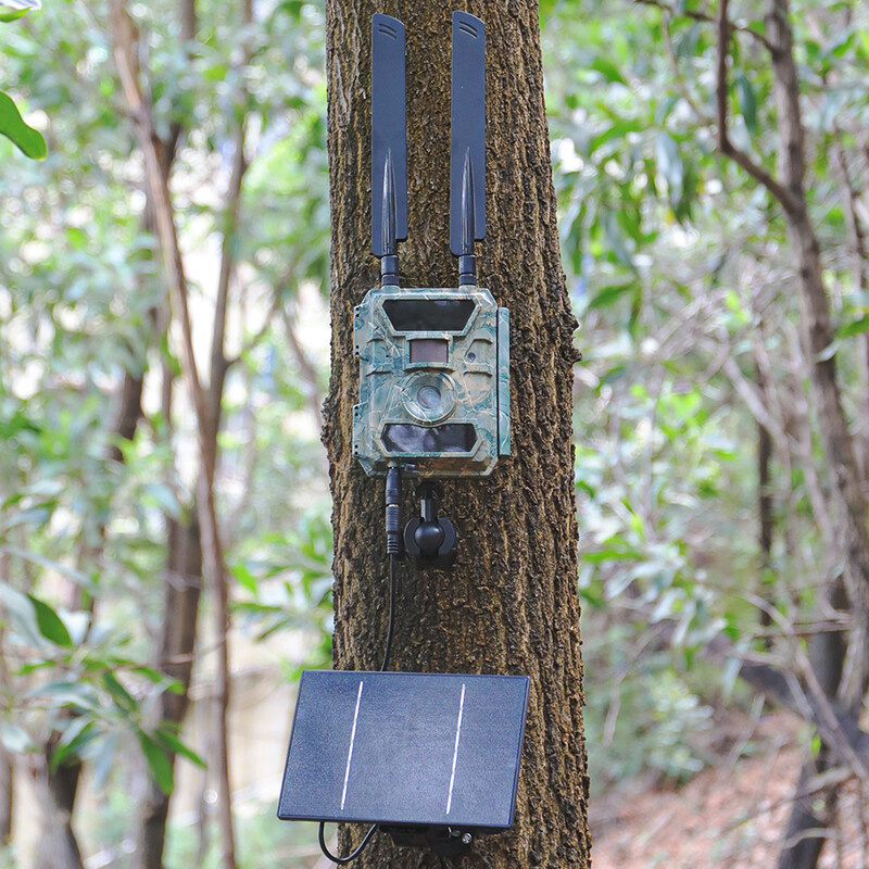 D4 5V 6V ηλιακός φορτιστής μπαταρίας για κάμερα ασφαλείας Φορητή ηλιακή τράπεζα ισχύος με έξοδο DC 5521 Φορτιστής μπαταρίας ηλιακού πάνελ 4W