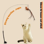 Täiustatud Epoxy Sucker terastraadist pika varda sulgedega kassi kiusamispulk Cat Self Tere, pole kahjulikke koostisosi