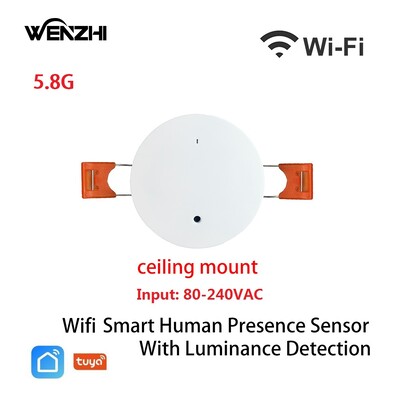 ZigBee Wifi MmWave Inimese kohaloleku liikumisandur koos heleduse/kauguse tuvastamisega 5/110/220V Tuya Smart Life koduautomaatika
