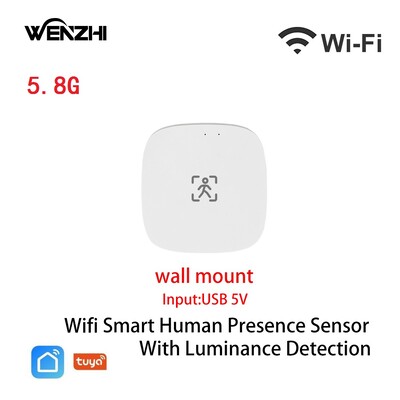 ZigBee Wifi MmWave Inimese kohaloleku liikumisandur koos heleduse/kauguse tuvastamisega 5/110/220V Tuya Smart Life koduautomaatika
