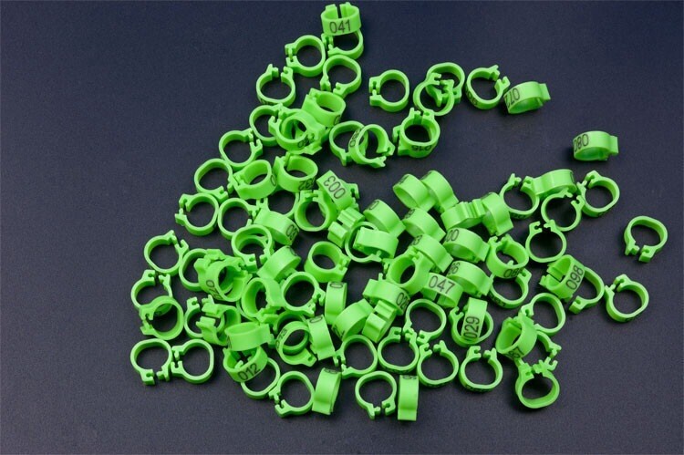 8 mm burtu baloža pēdas gredzens Bajonets Numura gredzens baložu aprīkojums Putnu piederumi Atvēruma identifikācijas gredzena zīmes gredzens 10 krāsu pēc izvēles