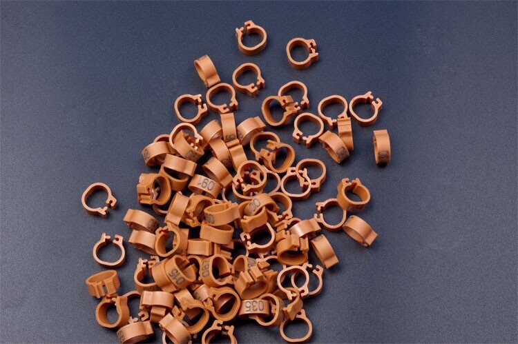 8 mm burtu baloža pēdas gredzens Bajonets Numura gredzens baložu aprīkojums Putnu piederumi Atvēruma identifikācijas gredzena zīmes gredzens 10 krāsu pēc izvēles