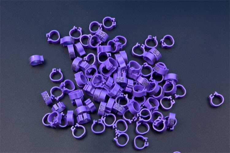 8 mm burtu baloža pēdas gredzens Bajonets Numura gredzens baložu aprīkojums Putnu piederumi Atvēruma identifikācijas gredzena zīmes gredzens 10 krāsu pēc izvēles