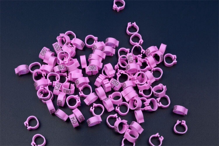 8 mm burtu baloža pēdas gredzens Bajonets Numura gredzens baložu aprīkojums Putnu piederumi Atvēruma identifikācijas gredzena zīmes gredzens 10 krāsu pēc izvēles