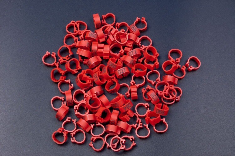 8 mm burtu baloža pēdas gredzens Bajonets Numura gredzens baložu aprīkojums Putnu piederumi Atvēruma identifikācijas gredzena zīmes gredzens 10 krāsu pēc izvēles