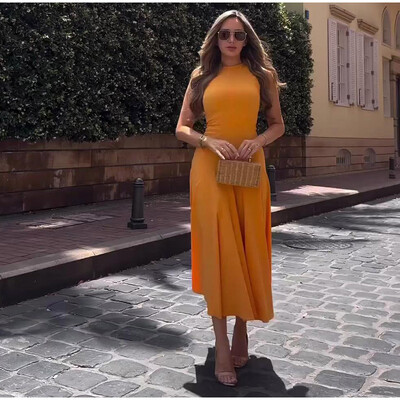 Õhuke plisseeritud tõmblukuga pikk kleit naistele Elegantne O-kaelusega varrukateta kõrge vöökohaga A-joonega kleidid 2024. aasta uued naiste moepeo vestid