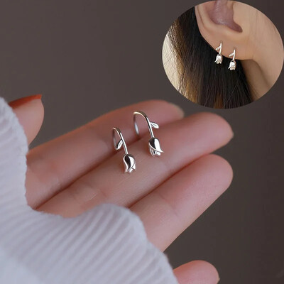 925 hõbenõela läikivad tsirkoonist kõrvarõngad naiste stiil armsad armsad ehete aksessuaarid lihtsad moeehte aksessuaarid