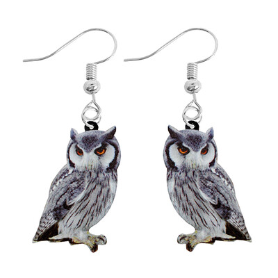 Kõrvarõngas naistele Akrüül naljakas kohandatud armsatele tüdrukutele kingitus kõrvatropid lastele loom jänes papagoi lind konn liblikas