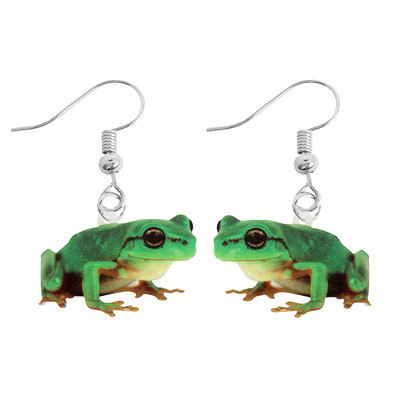 Kõrvarõngas naistele Akrüül naljakas kohandatud armsatele tüdrukutele kingitus kõrvatropid lastele loom jänes papagoi lind konn liblikas