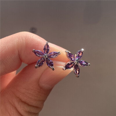 Armsad naiste väikesed tärniga kõrvarõngad võluvad hõbedased vikerkaare tsirkoonkivist pulmaehted naistele