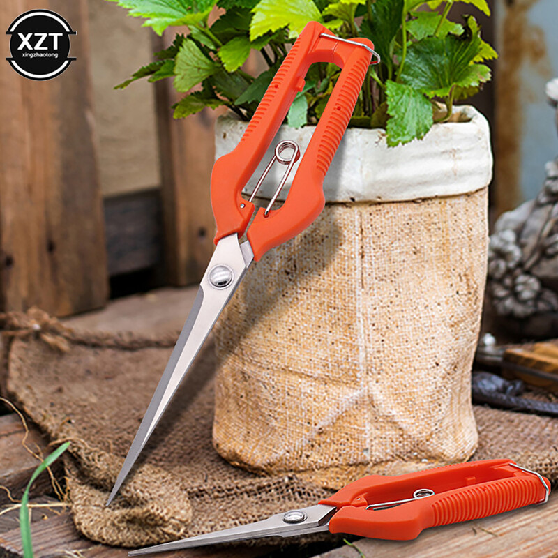 Suures suuruses puuviljakorjamise käärid roostevabast terasest aiatööriistad käärid puuviljakorjamiseks Puuviljade harvendamiseks oksakäärid Käsitööriistad