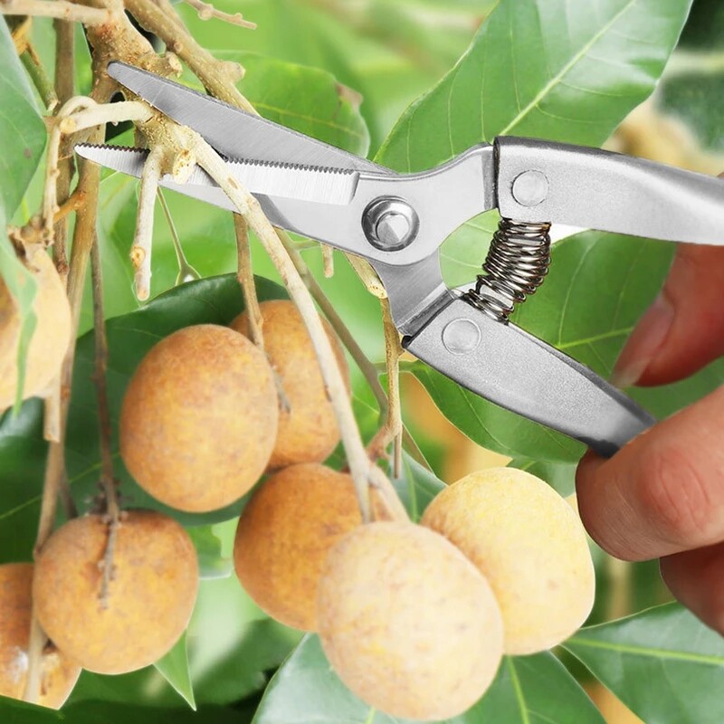 Foarfece de tăiat din oțel inoxidabil Unelte de grădinărit Foarfece cu mâner din aliaj de zinc zimțat Foarfece pentru ramuri dure pentru pomi fructiferi