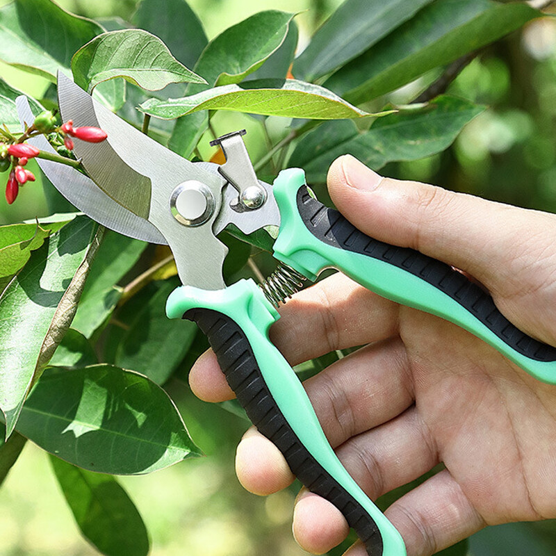 Sodininkystės žirklės paukščio snapo formos šakos genėjimas darbo taupymas genėjimas nerūdijančio plieno skynimas daugiafunkcinės vaisių žirklės