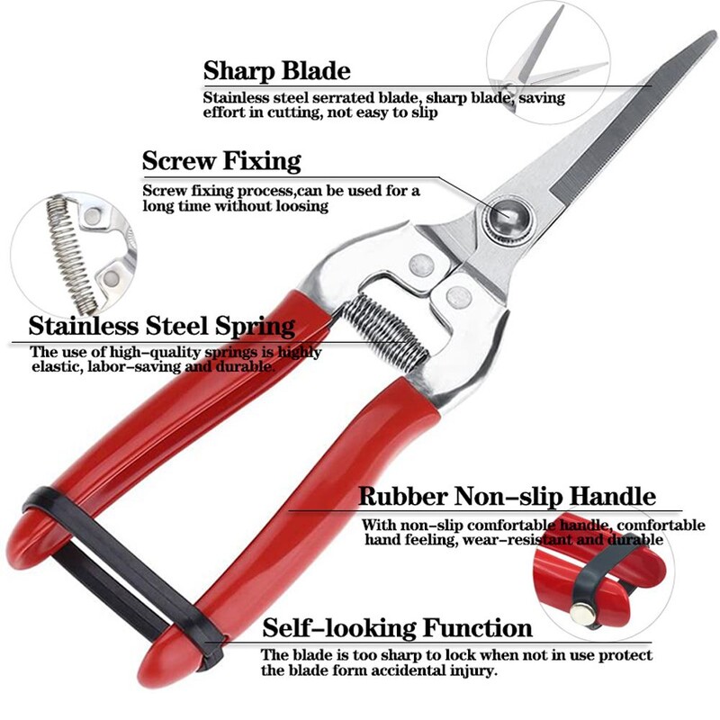 Libisemisvastane Oksakäärid Aiakäärid Oksakäärid Mikrootsakäärid Lehelõikur Sirge Käärid Taimede pügamistööriistade jaoks