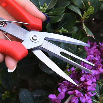 Νέο ψαλίδι κλαδέματος διπλής θυρίδας Flowers Trim Agriculture Αραιωτικό ψαλίδι πολλαπλών χρήσεων Εργαλεία κήπου Ψαλίδι κηπουρικής οπωροφόρων δέντρων