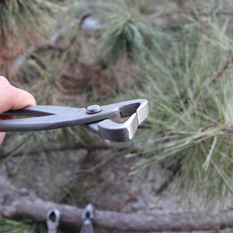 Višenamjenski nož za rezanje bonsaija Škare za rezidbu Vrtni rezač za grane bonsaija Vrtlarske škare Škare Alati Vrtne škare