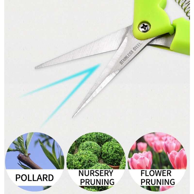 Kodumajapidamises potis trimmitud umbrohuoksad Väikesed käärid Aiatööriistad Aia oksakäärid Puuviljakorjamise käärid