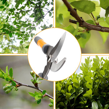 AIRAJ Pruning Shear Pruner Garden Bonsai Plants Επαγγελματικός εξοπλισμός κλαδέματος Farm Home Sharp Scissors Εργαλεία χειρός κηπουρικής