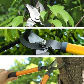 AIRAJ Pruning Shear Pruner Garden Bonsai Plants Επαγγελματικός εξοπλισμός κλαδέματος Farm Home Sharp Scissors Εργαλεία χειρός κηπουρικής