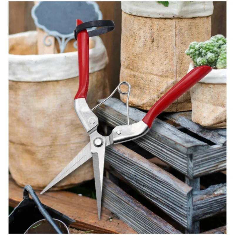 Aiatööriistad Lõikurid Bonsai käärid Metallist Aiandus Kääride pügamistööriist Käsitsilõikur Puuviljakorjamine Umbrohtude korjamine Majapidamispotis 1tk