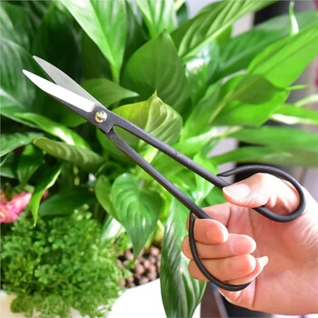 Ψαλίδι για αρχάριους Bonsai Tool Long Handle Ψαλίδι κηπουρικής 20cm Εργαλεία κλαδέματος κήπου ψαλίδι μπονσάι Drop Shipping