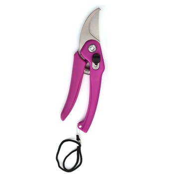 Pruner Garden Scissors Professional Sharp Bypass Pruning Ψαλίδι Τρίμερ δέντρων Κλαδί λουλουδιών Κλείστρες χεριών Εργαλεία κήπου