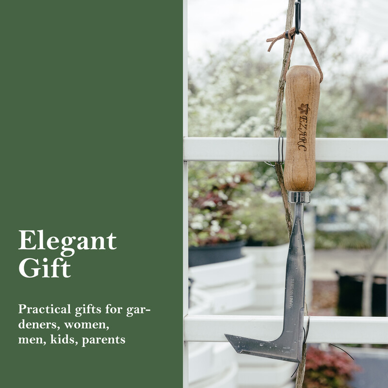 EZAEC Crack Weeder Crevice umbrohutõrjetööriist Roostevabast terasest Manuaalne Weeder Pöögipuu käepidemega muru aiatööriist