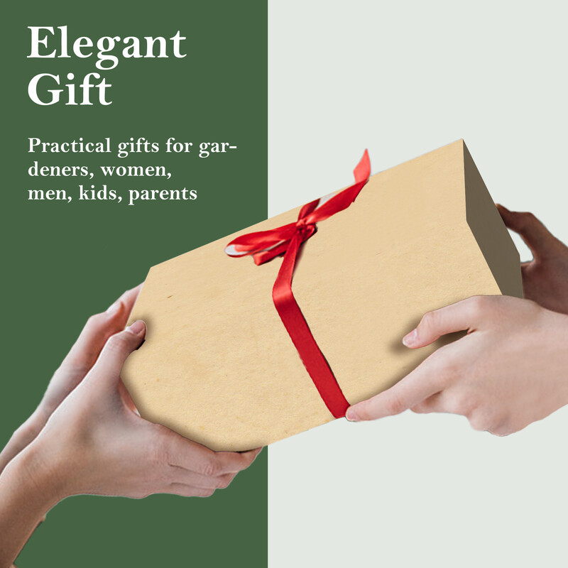 EZAEC Crack Weeder Crevice umbrohutõrjetööriist Roostevabast terasest Manuaalne Weeder Pöögipuu käepidemega muru aiatööriist