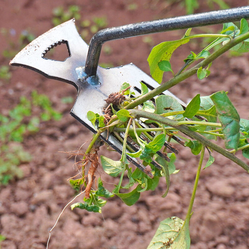 2in1 käsitsi umbrohueemaldaja tööriist Aia umbrohutõrje Rohujuurimisreha Kobestage muld Äke Põllumajandus Tõmbaja Labidas Lehed koguma