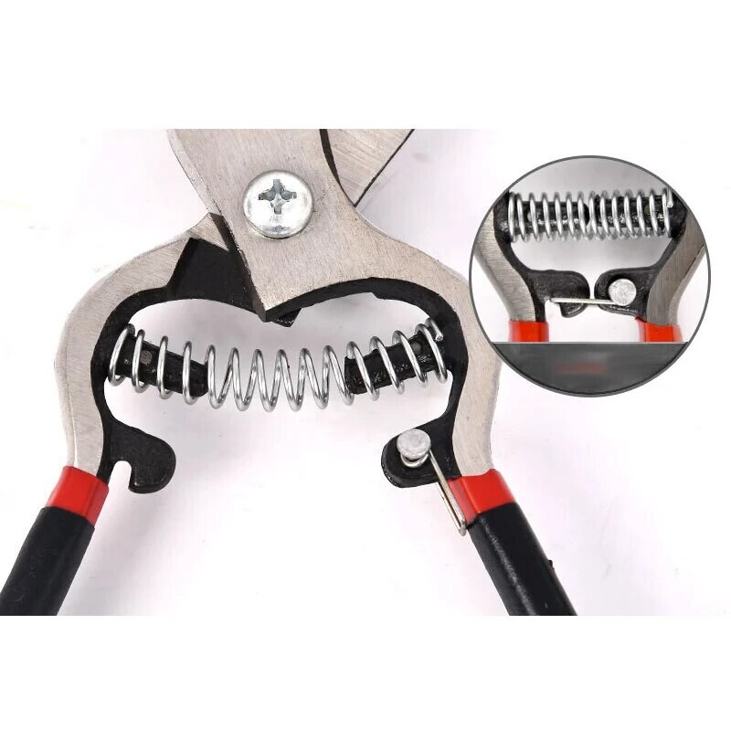 Sodininkystės žirklės paukščių snapo formos šakos genėjimas darbo taupymas genėjimas nerūdijančio plieno skynimas daugiafunkcinės vaisių žirklės