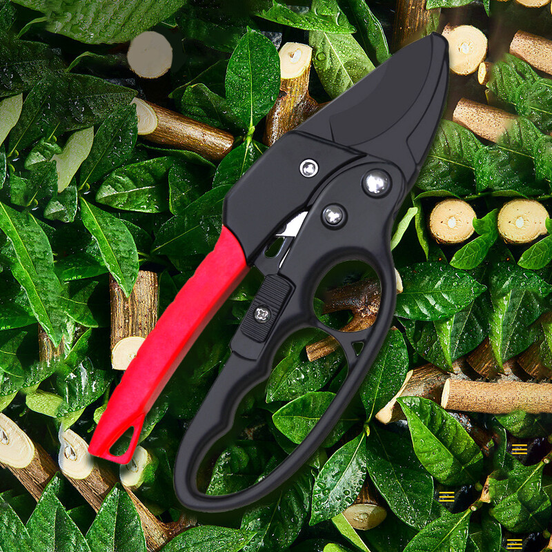 Zaru šķēres Asas dārza šķēres Šķēres Darbu taupošas apgriešanas šķēres Dārza instruments dārza stādaudzētavai/lauksaimniecības augļu dārzam