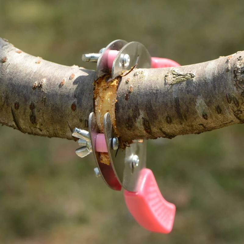Skiepijimo įrankis Lupimo žirklės Augalų pjaustytuvas Žiedo formos vaismedžių skustukas Žievės nulupimas Pjovimas Sodo lydinio plieno apjuosimo peilis