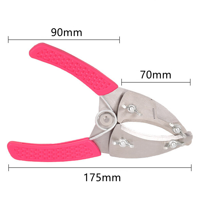 Skiepijimo įrankis Lupimo žirklės Augalų pjaustytuvas Žiedo formos vaismedžių skustukas Žievės nulupimas Pjovimas Sodo lydinio plieno apjuosimo peilis