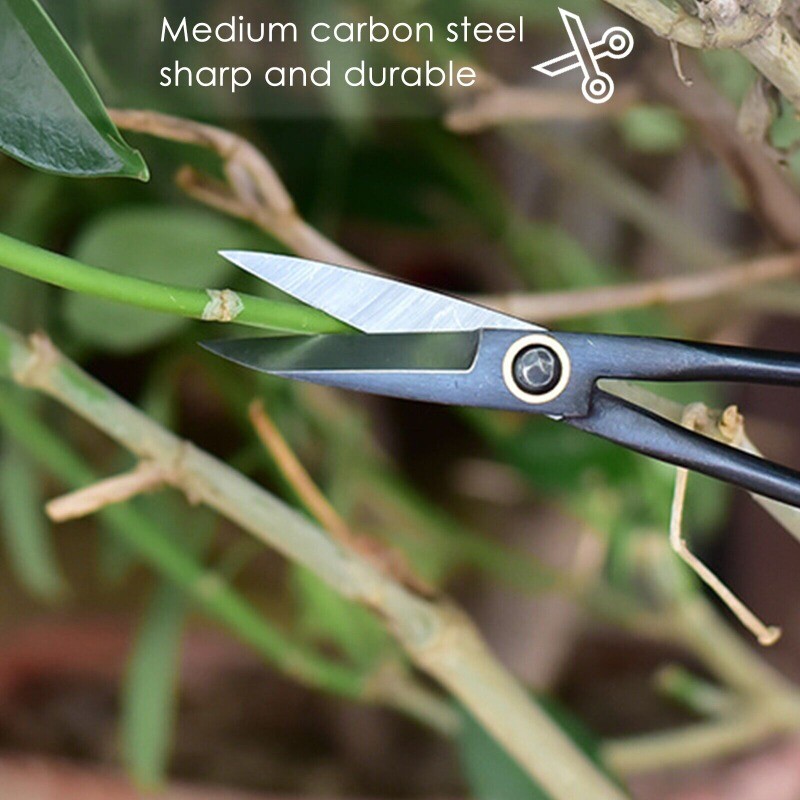 21 cm iesācēju pundurkociņš instruments ar garu rokturi šķēres Dārza augu zaru šķēres Dārza atzarošanas rīki Bonsai šķēres Drop Shipping