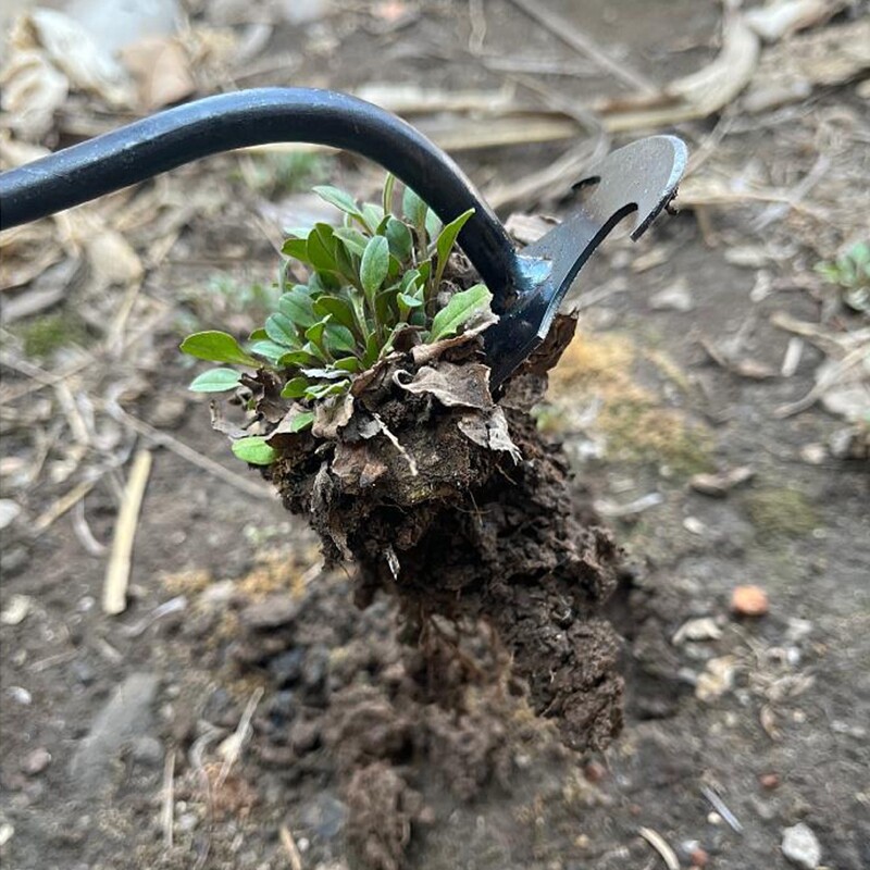 2-ühes Aia umbrohutise reha tööriistad Käsitsi umbrohu muru juurimise kühvel Mangaan Teras Kobestav pinnase kaevamine Põllumajandustööriist