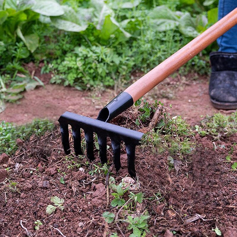 Lapų grėbliai vejai Didelio našumo sodo grėblys vejos įrankiai šiaudinis grėblys Dethatcher grėblys metalinis sodo kaplių grėblys purenimui