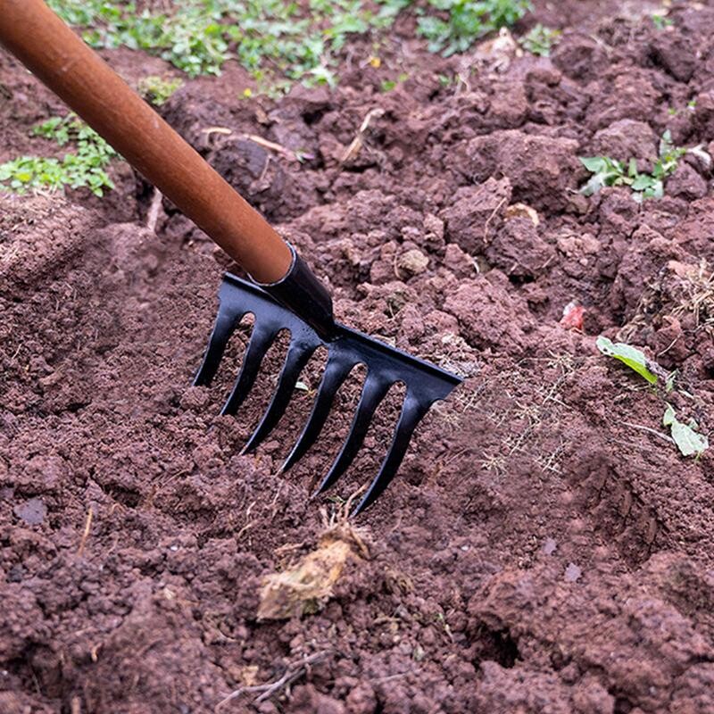 Lapų grėbliai vejai Didelio našumo sodo grėblys vejos įrankiai šiaudinis grėblys Dethatcher grėblys metalinis sodo kaplių grėblys purenimui