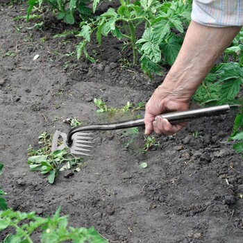 Εργαλείο τράβηγμα γρασιδιού Standup Plant Remover Picker Plant Root pulling tool with 5-claw Steel Head Design Dual Purpose Weeder and