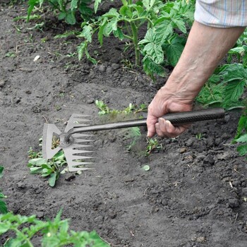 Εργαλείο τράβηγμα γρασιδιού Standup Plant Remover Picker Plant Root pulling tool with 5-claw Steel Head Design Dual Purpose Weeder and